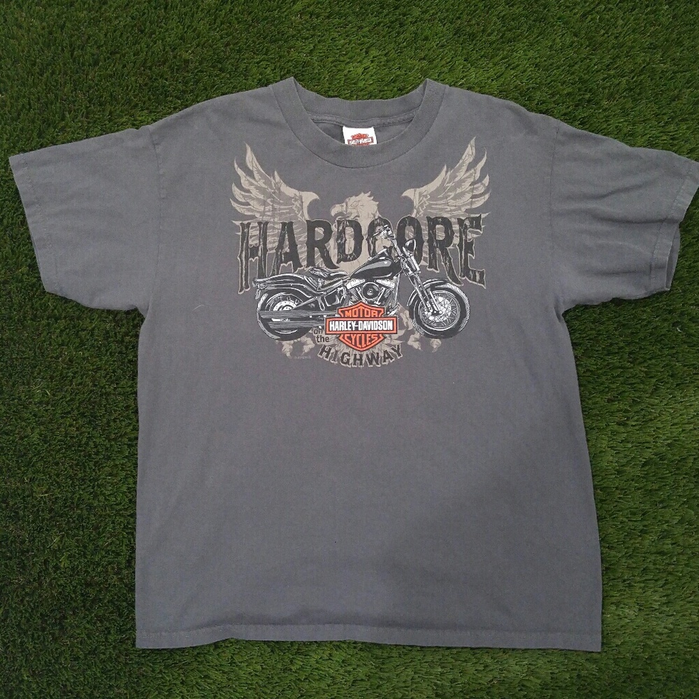 🌟Vintage Harley Davidson